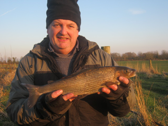 Frome grayling