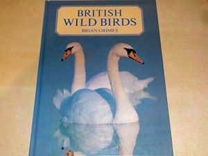 British Wild Birds
