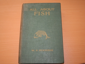 All about fish