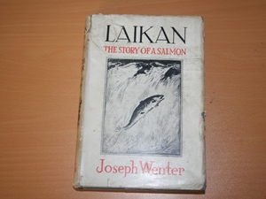 Laikan The Story of a Salmon