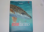 Esox Lucius (signed) Esox Lucius (signed)