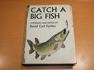 Catch a Big Fish