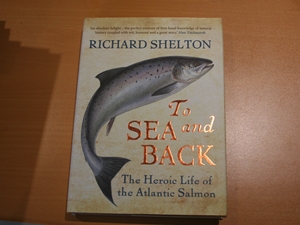 To sea and back.  The heroic life of the atlantic salmon