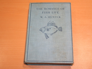 The Romance of Fish Life