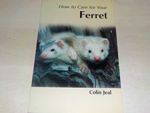 How to Care for Your Ferret